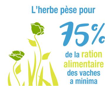ration alimentaire